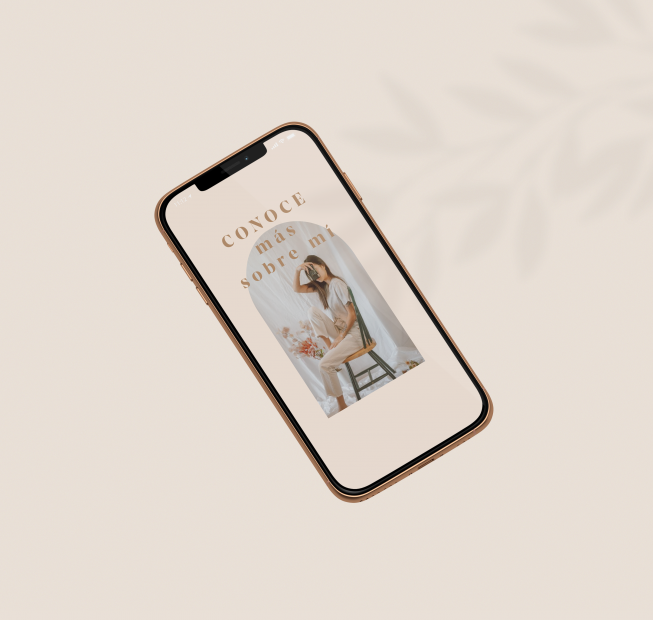 instgram templates feed organizado